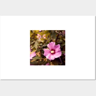 purple hibiscus flower Posters and Art